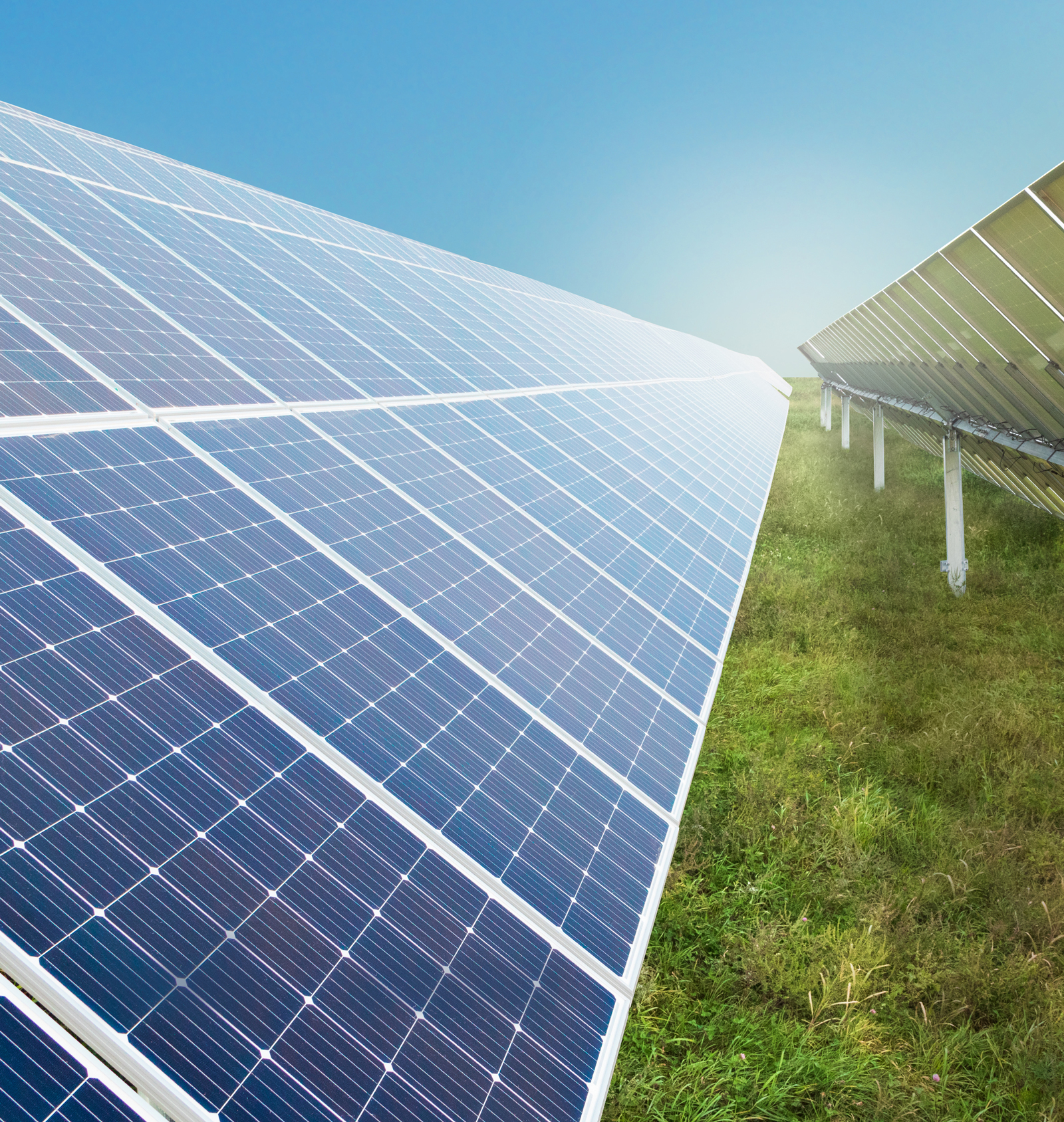 Solar panel farm