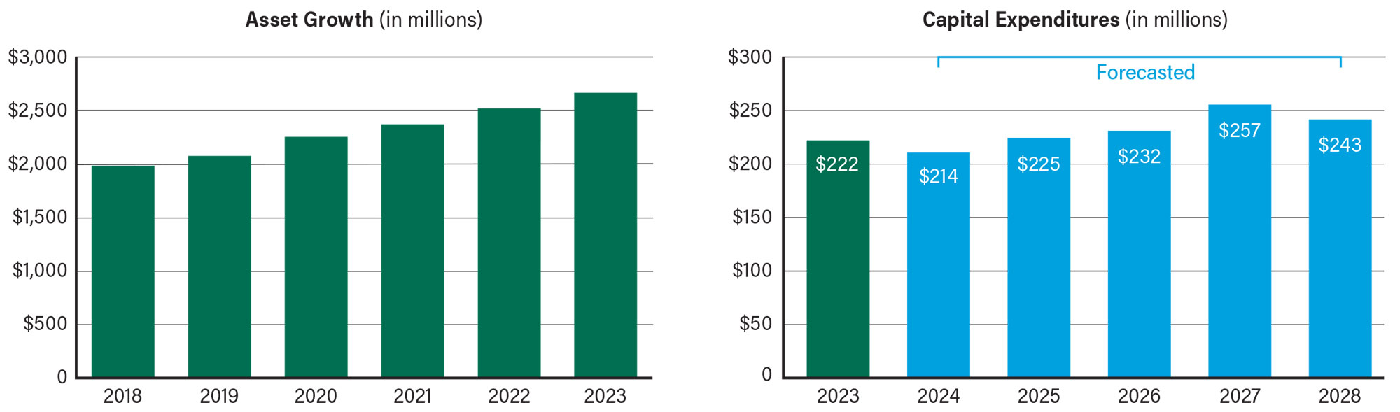 Asset Growth and Capital Expenditures graphs