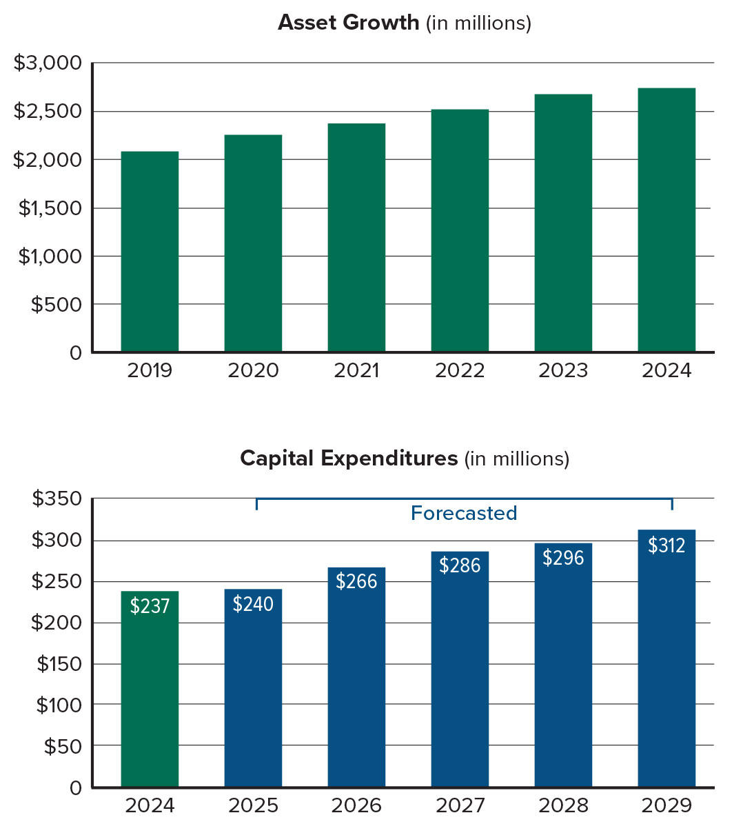 asset growth and capital expenditures