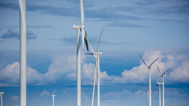 Saratoga wind farm