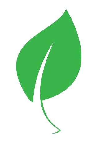 Go paperless to go green