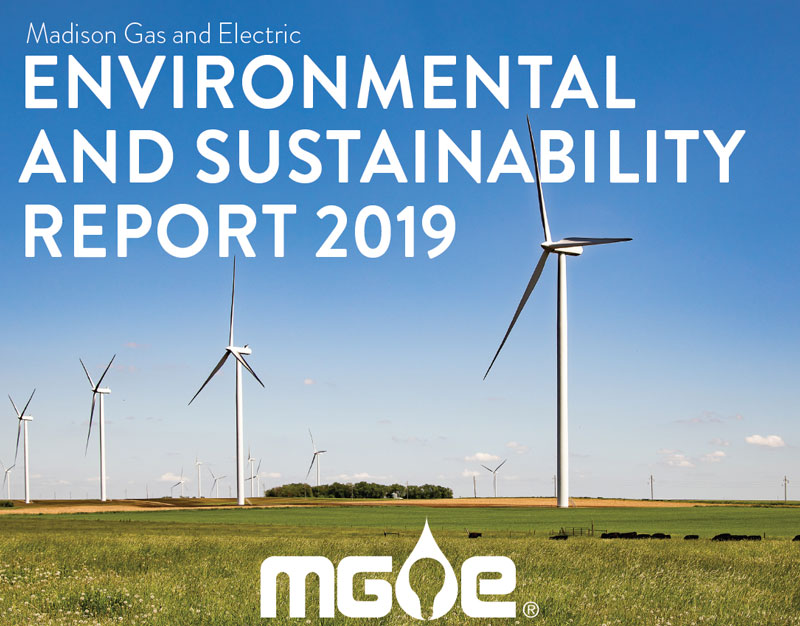 Environmental and Sustainability Report 2019
